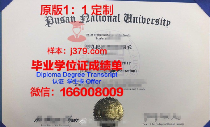 釜山科学技术大学diploma证书(釜山大学本科申请条件)
