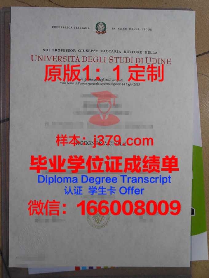 乌迪内大学毕业证认证怎么弄(乌迪内美院是公立大学吗)