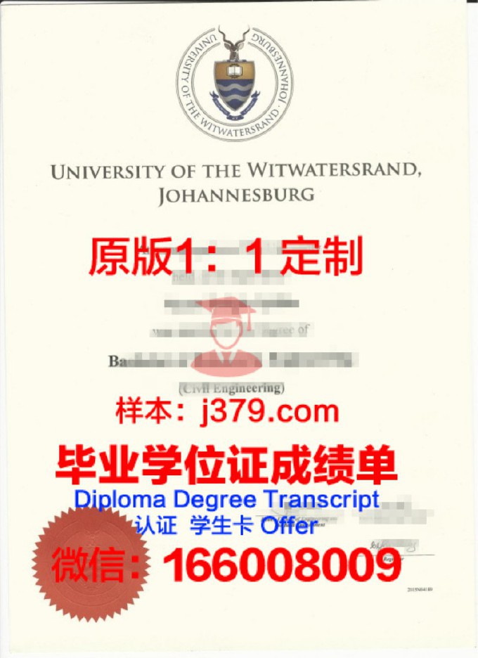 南非大学毕业证书样本图片(南非学历中国承认吗)