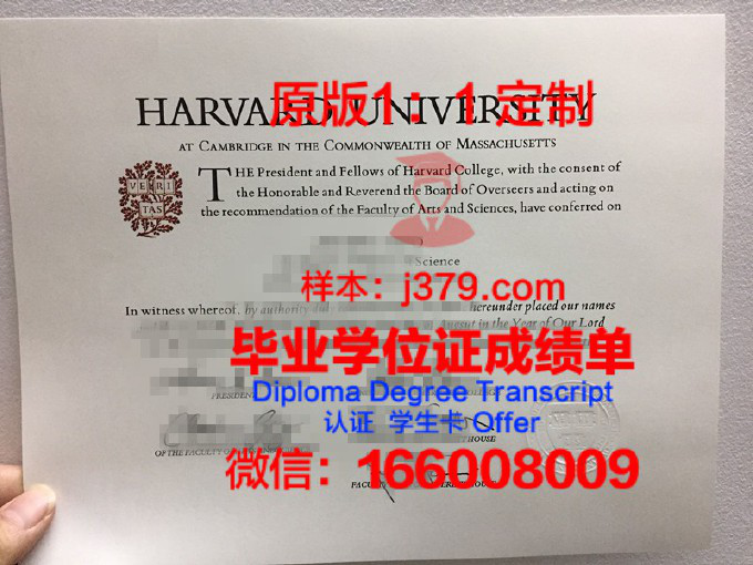 希望之光大学毕业证防伪(希望之光助学网)