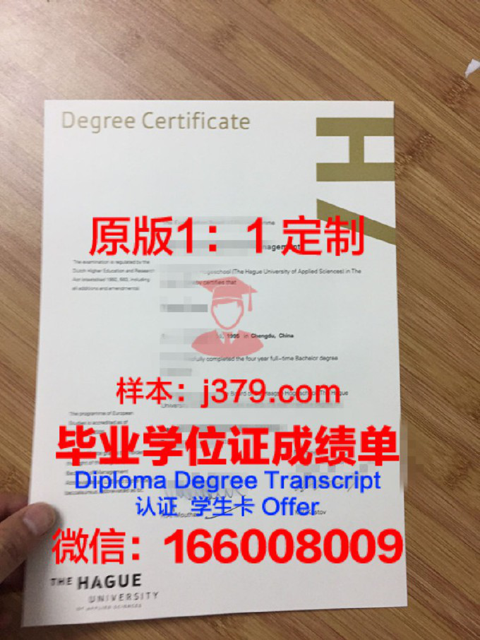 海牙应用科学大学硕士毕业证(海牙大学研究生申请)