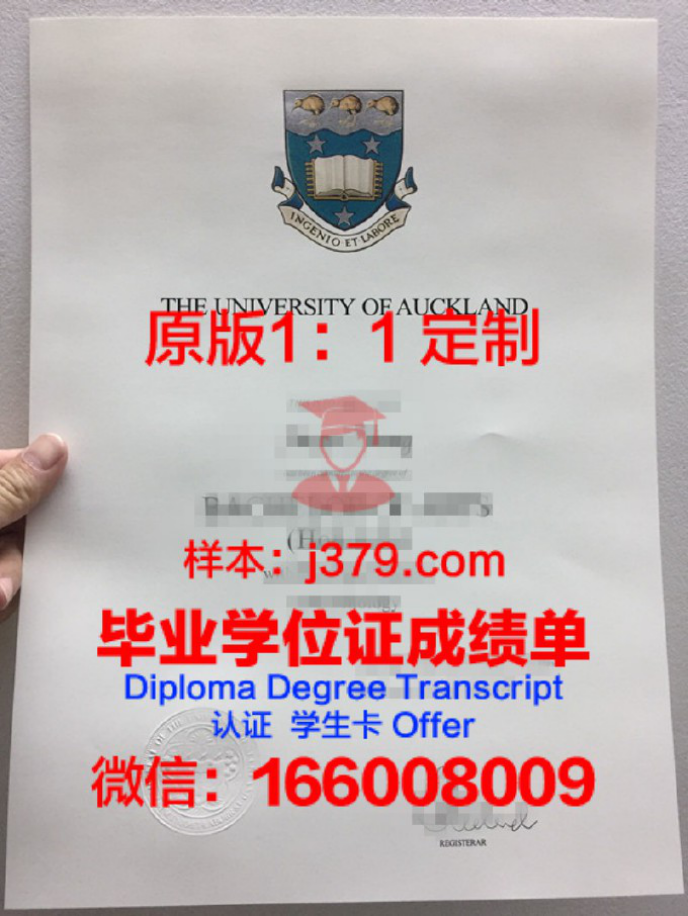 奥克兰大学本科一年费用解析